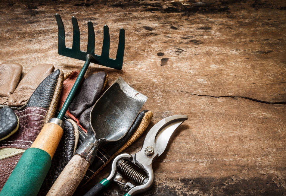 Comment réaliser l’entretien de mes outils de jardin ?